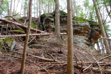 Fısıldayan Mağara, Hocking Hills Eyalet Parkı, Ohio