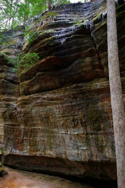 Fısıldayan Mağara, Hocking Hills Eyalet Parkı, Ohio