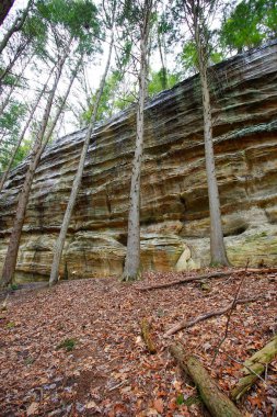 Fısıldayan Mağara, Hocking Hills Eyalet Parkı, Ohio