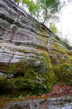 Fısıldayan Mağara, Hocking Hills Eyalet Parkı, Ohio