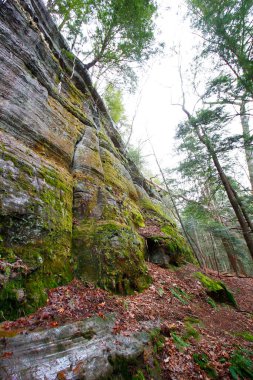 Fısıldayan Mağara, Hocking Hills Eyalet Parkı, Ohio