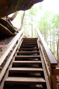 Fısıldayan Mağara, Hocking Hills Eyalet Parkı, Ohio