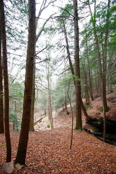 Fısıldayan Mağara, Hocking Hills Eyalet Parkı, Ohio