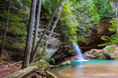 Lower Falls, Old Mans Mağarası, Hocking Hills Eyalet Parkı, Ohio