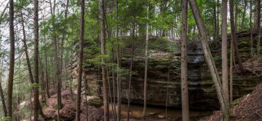 Fısıldayan Mağara, Hocking Hills Eyalet Parkı, Ohio