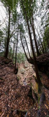 Fısıldayan Mağara, Hocking Hills Eyalet Parkı, Ohio