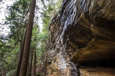 Yaşlı Adam 'ın Mağarası, Hocking Hills Eyalet Parkı, Ohio