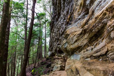 Yaşlı Adam 'ın Mağarası, Hocking Hills Eyalet Parkı, Ohio