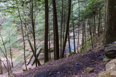 Yaşlı Adam 'ın Mağarası, Hocking Hills Eyalet Parkı, Ohio