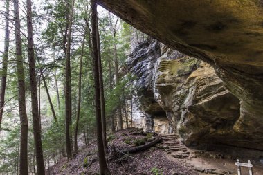 Yaşlı Adam 'ın Mağarası, Hocking Hills Eyalet Parkı, Ohio