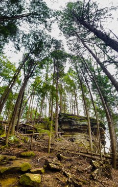 Fısıldayan Mağara, Hocking Hills Eyalet Parkı, Ohio