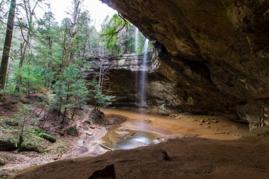 Ash Mağarası, Hocking Hills Eyalet Parkı, Ohio