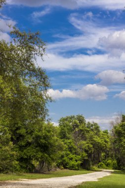 Görünümler Apopka Gölü Döngü Yolu, Florida