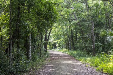 Görünümler Apopka Gölü Döngü Yolu, Florida