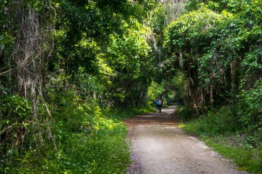 Apopka Gölü Döngü Yolu, Florida