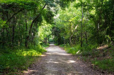 Apopka Gölü Döngü Yolu, Florida