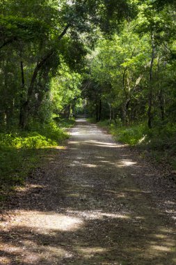 Apopka Gölü Döngü Yolu, Florida