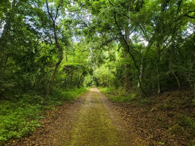 Apopka Gölü Döngü Yolu, Florida