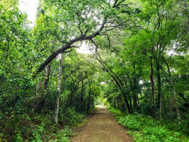 Apopka Gölü Döngü Yolu, Florida