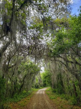 Apopka Gölü Döngü Yolu, Florida