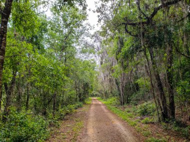 Apopka Gölü Döngü Yolu, Florida