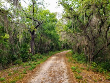 Apopka Gölü Döngü Yolu, Florida