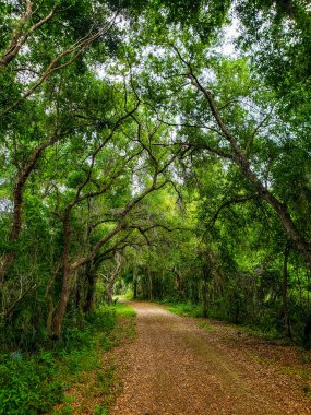 Apopka Gölü Döngü Yolu, Florida