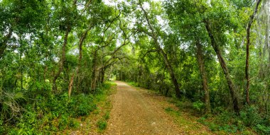 Apopka Gölü Döngü Yolu, Florida