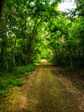 Apopka Gölü Döngü Yolu, Florida