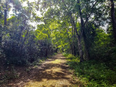 Apopka Gölü Döngü Yolu, Florida