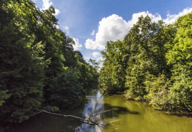 Mohican Nehri Yazın, Mohican Eyalet Parkı, Ohio