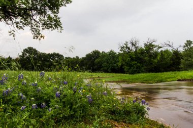 Bluebonnet Park, Ennis, Teksas