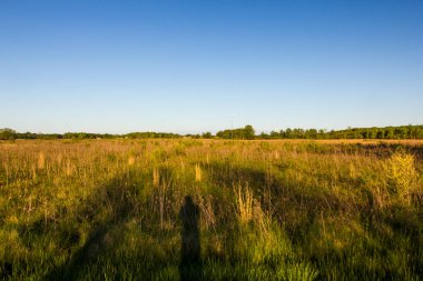 Sahadaki Kişinin Gölgesi, Glacier Ridge Metro Parkı, Dublin, Ohio