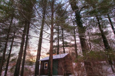 Bir Kış Gününde Ormanda Karlı Küçük Kulübe