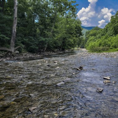 Potomac Nehri 'nin kuzey çatalı, Seneca Kayalıkları' nın yanında.