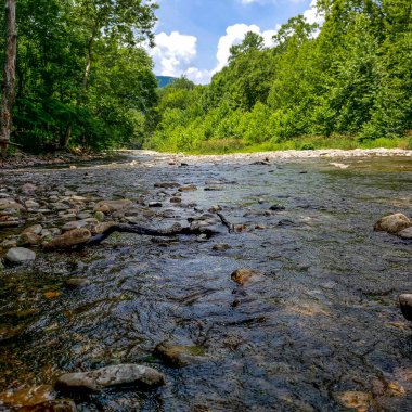 Potomac Nehri 'nin kuzey çatalı, Seneca Kayalıkları' nın yanında.