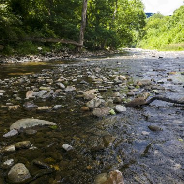 Potomac Nehri 'nin kuzey çatalı, Seneca Kayalıkları' nın yanında.