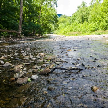 Potomac Nehri 'nin kuzey çatalı, Seneca Kayalıkları' nın yanında.