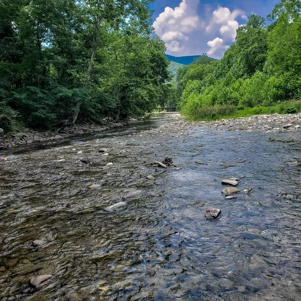 Potomac Nehri 'nin kuzey çatalı, Seneca Kayalıkları' nın yanında.