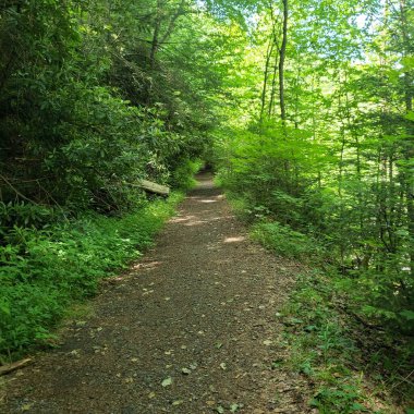 Karasu Kanyonu Demiryolu Yolu, Batı Virginia