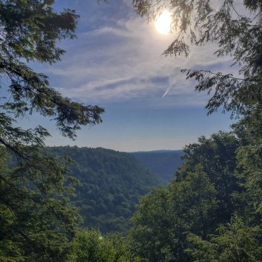 Blackwater Kanyonu, Blackwater Falls Eyalet Parkı, Batı Virginia