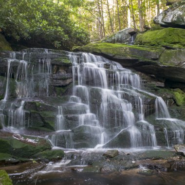 Elakala Şelalesi 2 numara, Blackwater Falls Eyalet Parkı, Batı Virginia