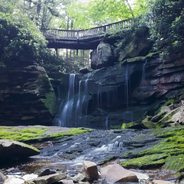 Elakala Şelalesi, Blackwater Şelalesi Eyalet Parkı, Batı Virginia