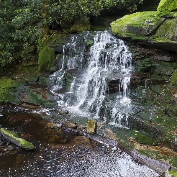 Elakala Şelalesi 2 numara, Blackwater Falls Eyalet Parkı, Batı Virginia