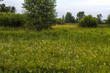 Glacier Ridge Metro Parkı, Dublin, Ohio