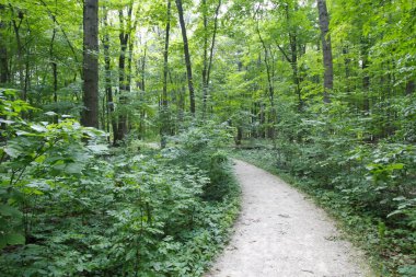 Glacier Ridge Metro Parkı, Dublin, Ohio
