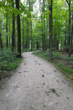 Glacier Ridge Metro Parkı, Dublin, Ohio