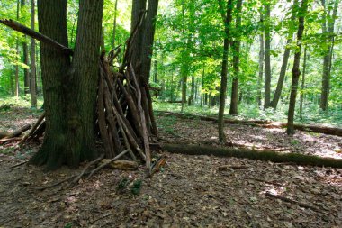 Glacier Ridge Metro Parkı, Dublin, Ohio