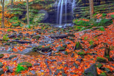 Sonbaharda Aşağı Dundee Şelalesi manzarası, Beach City Wilderness Area, Ohio