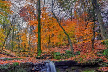 Sonbaharda Dundee Şelalesi manzarası, Beach City Wilderness Area, Ohio